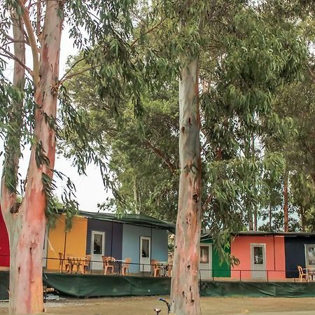 Patara Woody Hostel & Camping Exterior photo