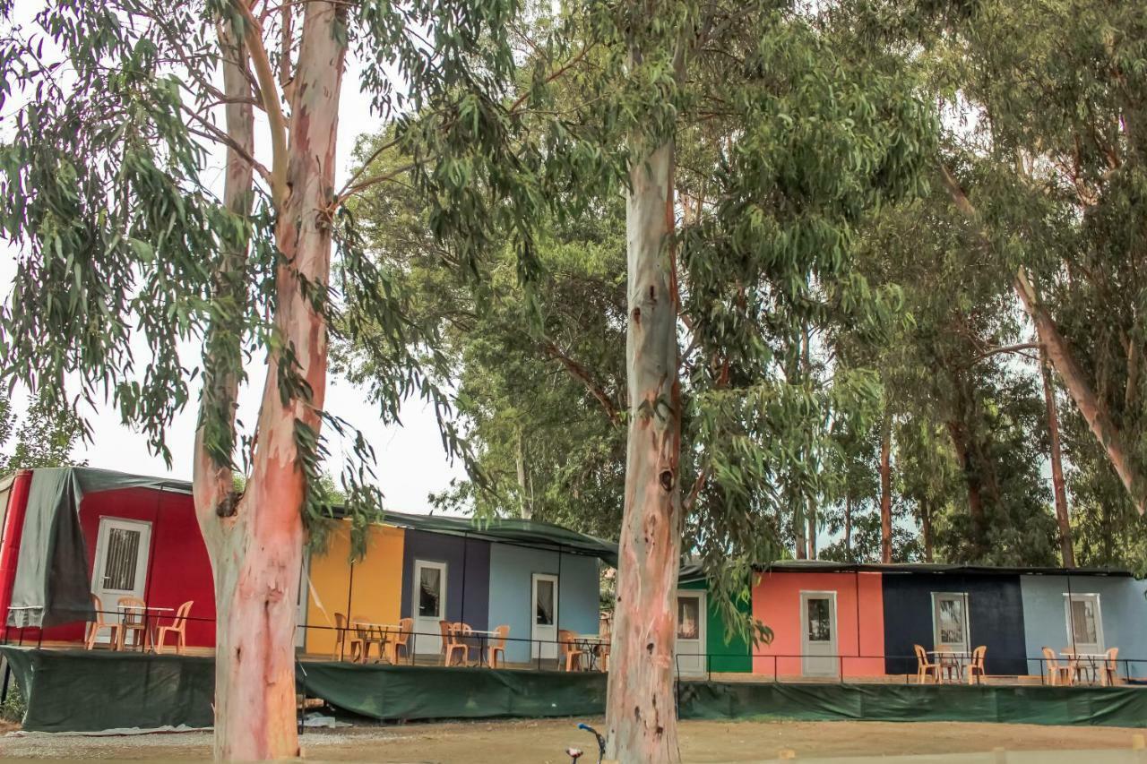 Patara Woody Hostel & Camping Exterior photo